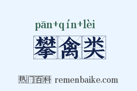 攀禽类是什么意思的图片
